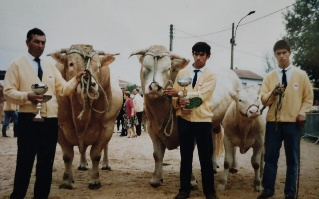 De la ferme à la table : Traçabilité et qualité dans l&rsquo;industrie bovine